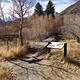 Convict Lake Campground trail to fishing creek in campground. 