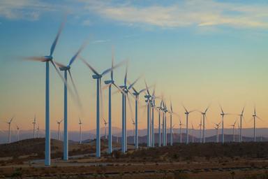 mojave_20121120__MG_6568-Edit_lg (1).jpg