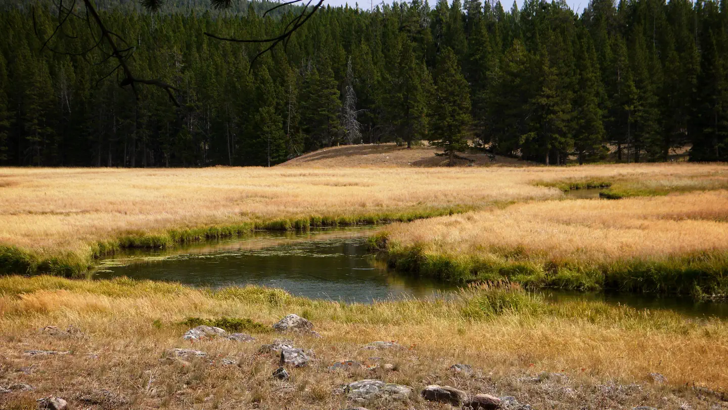Island Park Campground