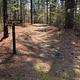 Virginia Pine Trail