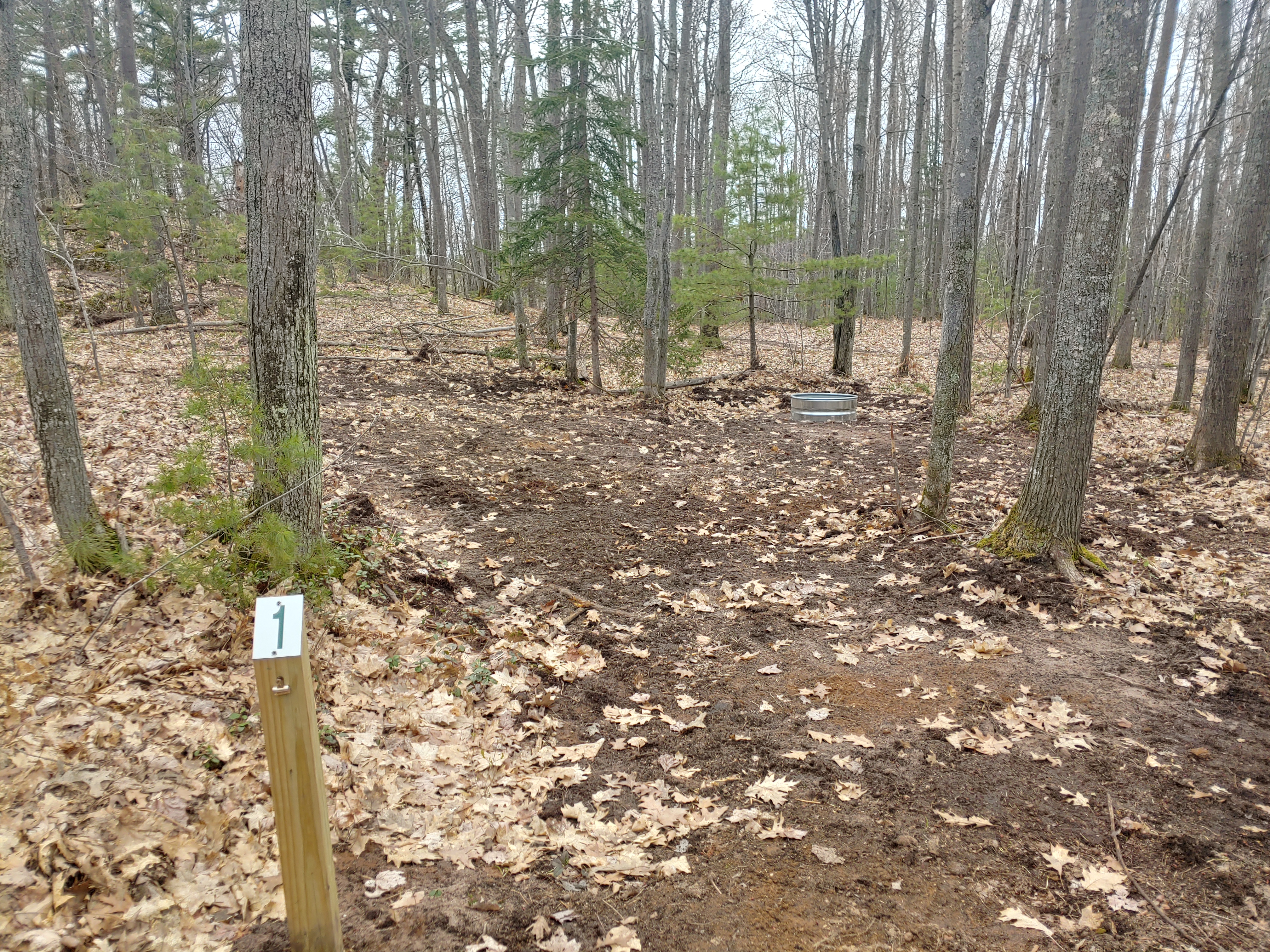 Forestville Campground