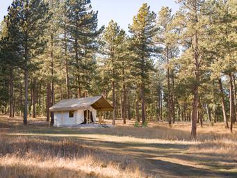 Clear photograph of a canvas glamping tent set among pine trees on the property — showcases a specific campsite/lodging type referenced on the site.