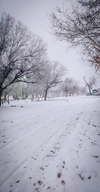 Wind River RV Park