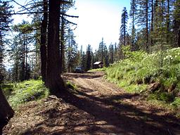 Tingley Spring