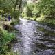 Wide view of Hat Creek stream through wooded grounds — highlights on‑property river scenery and fishing access (gallery/attractions pages).
