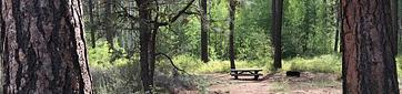 Indian Ford Campground