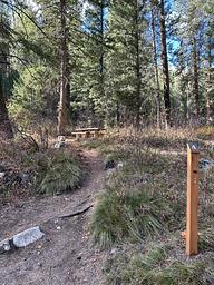 Bad Bear Campground