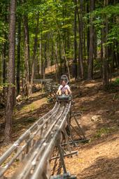 On-site alpine coaster/rail ride through the woods — highlights a distinctive on-property attraction and activity shown in the park’s marketing photos.