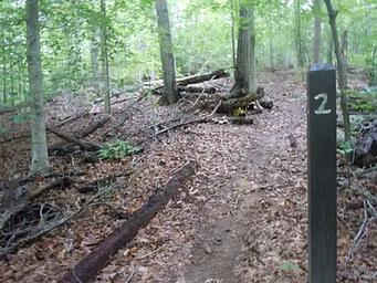 Campsite #2 Marker