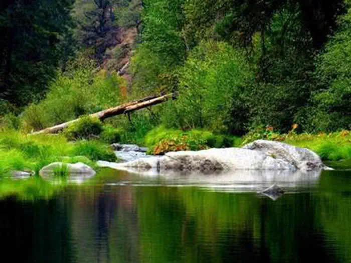 Bridal Veil Group Area and Picnic Ground
