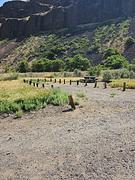 Basaltic cliffs towering above Jones Canyon Campground.