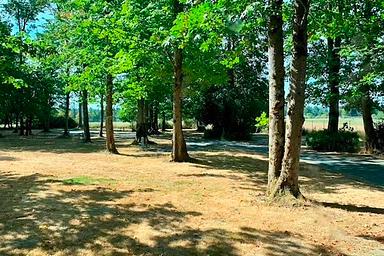 Kemp Olson Memorial Park