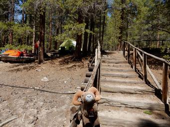 Wooden steps and lakeside/ waterfront campsite with tent and campground features (picnic gear visible) — useful scenic campsite view found on the site’s photos/background images for the property.