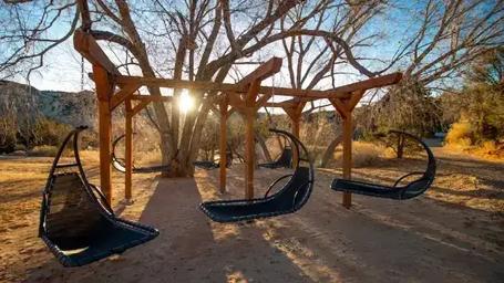Outdoor swings near a glamping site during sunset.