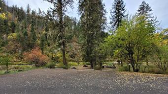 South Fork Group Site 5 - Nez Perce Nf (ID)