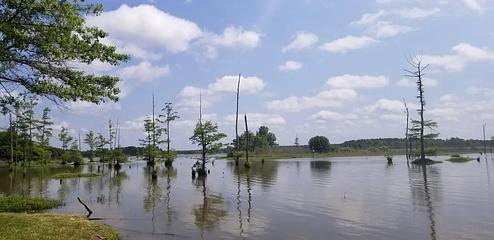 Blue Bluff Campground (Aberdeen Ms)