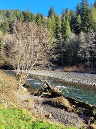 Kilchis River County Campground