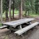 Ophir Creek Campground Typical Campsite 