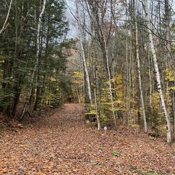 Fernwood Forest Campground, Inc.