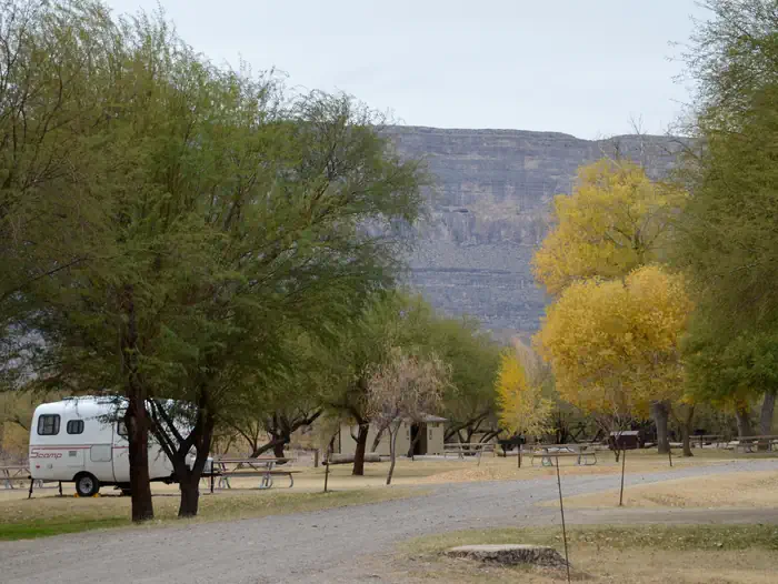 Cottonwood (Big Bend, TX)
