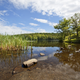 Campspot slideshow image 5