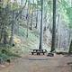 BOGUS CREEK CAMPGROUND
