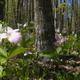 Campspot slideshow image 3