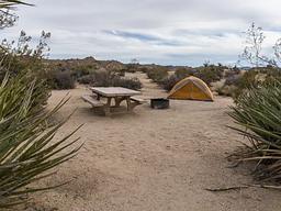 Cottonwood Campground (CA)