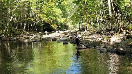 Cataloochee Group Camp