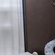2019 Thor Motor Coach Freedom Traveler