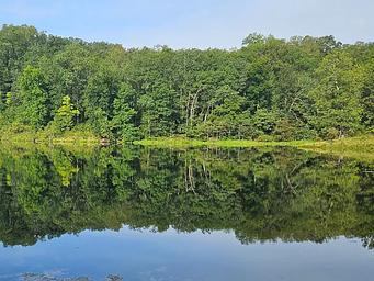 Loggers Lake Campground