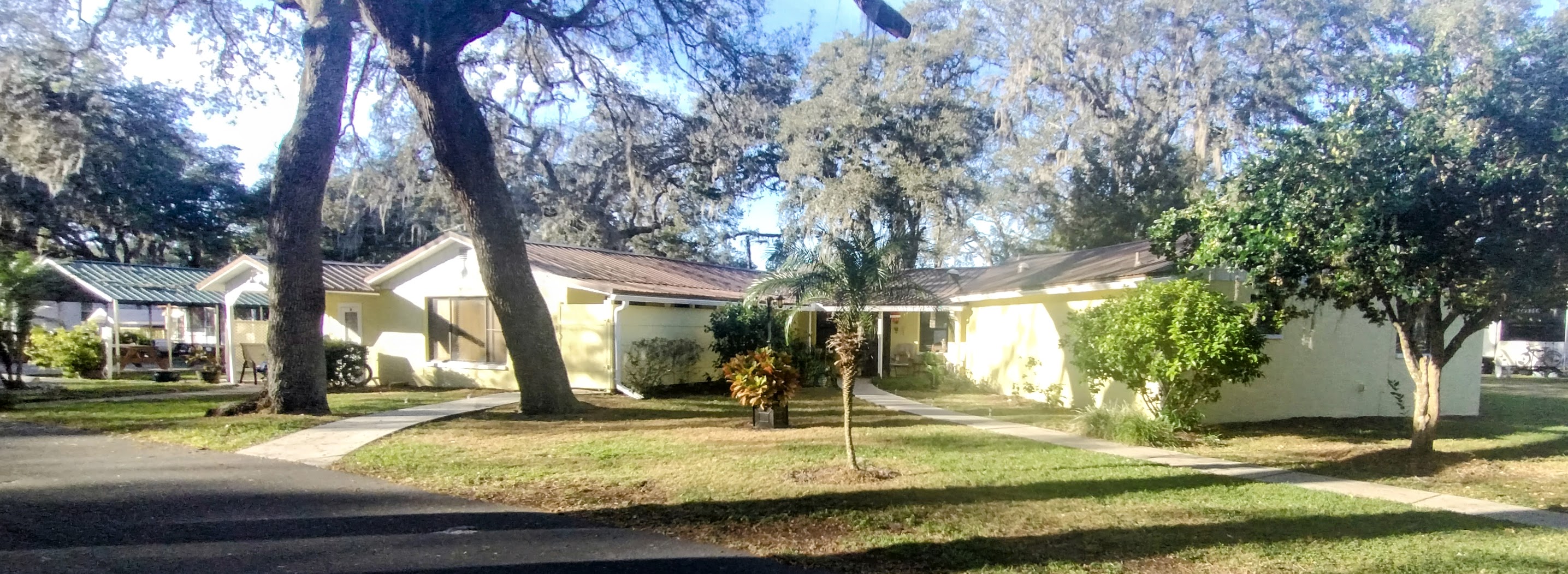 Country Oaks