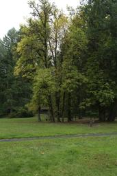 Shotgun Creek Recreation Site