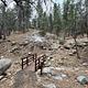 Wild Cow Springs Campground bridge
