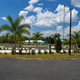 Clear daytime photograph of paved pull‑through RV pads, palm landscaping and central roadway — shows site layout and resort grounds; sourced from the RV sites section (Oversize Pull Thru Sites).