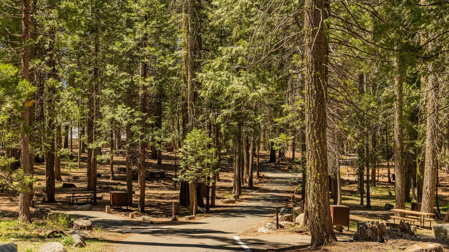 Meadowview Campground