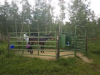 Horse corrals are available for each campsite. 