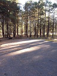 SINKHOLE Campground Shaded Standard Site