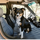 2022  Promaster 3500 ext Off Grid  White Knight
