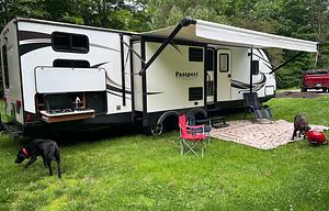 Extended Season Ready! kiddos and fidos friendly