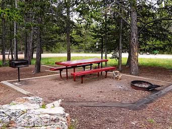 Campground in wooded area
