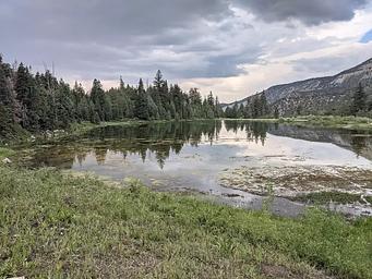 Manti Community Campground - Yearns Reservoir