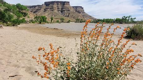 Swasey's Beach Campground