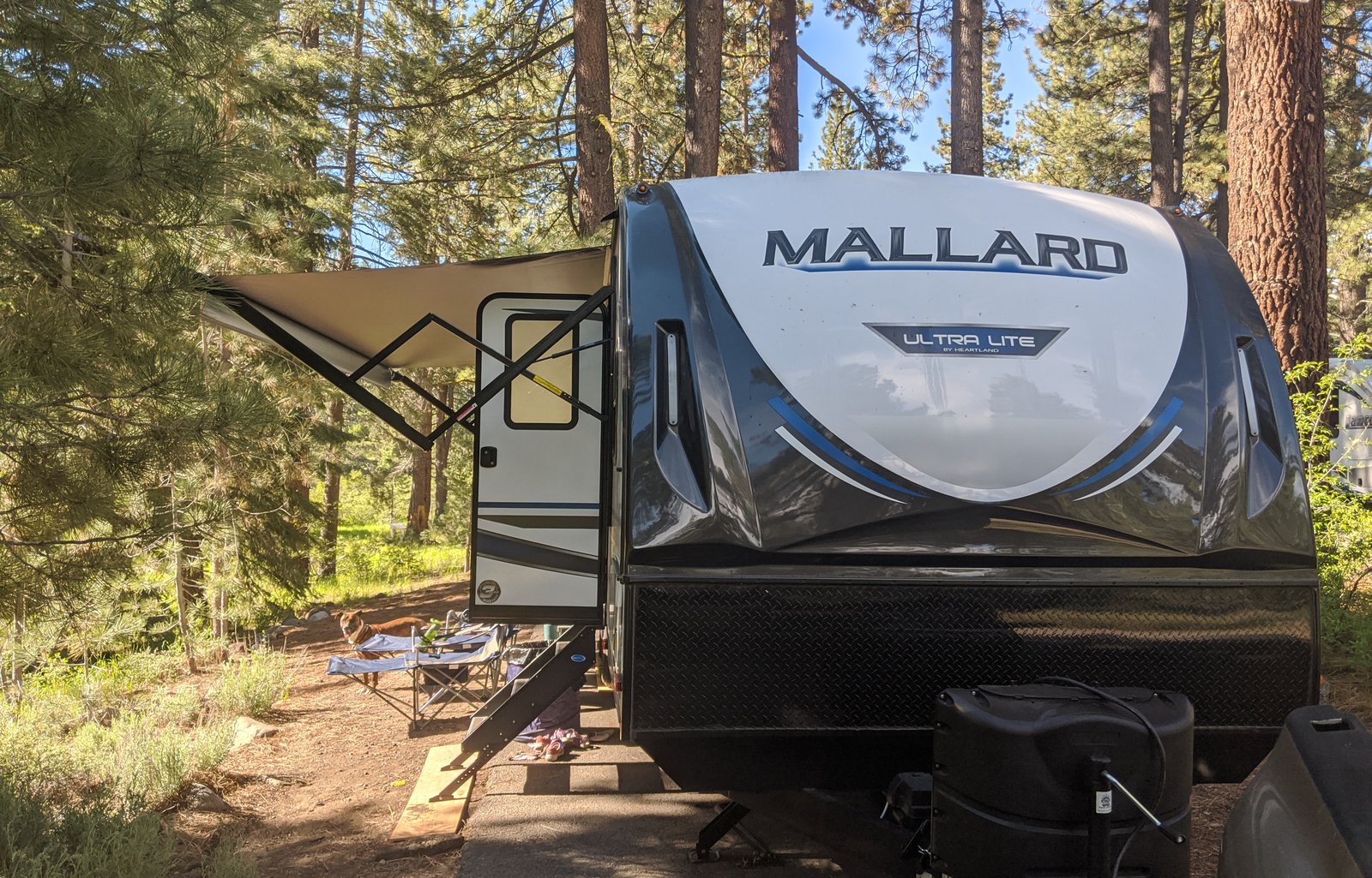Family and Pet friendly mobile bunkhouse Mansion!