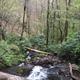 Campspot slideshow image 5