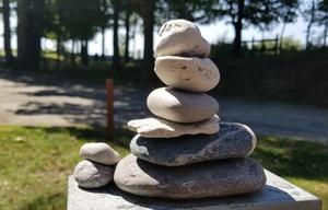WMI Adventure-We'll Deliver & Pick up - Bunkhouse
