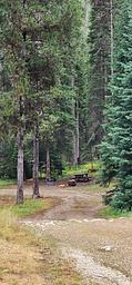 Fales Flat individual site in stock area of campground
