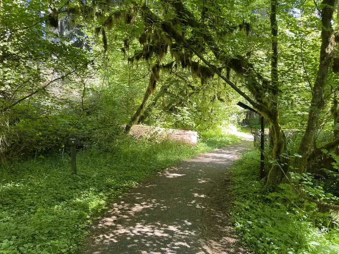 Sol Duc Hot Springs Resort Campground