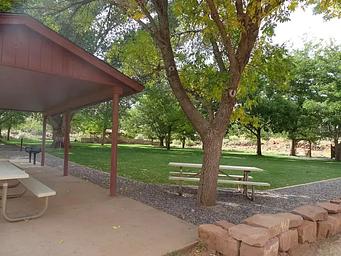 A large tree is in front of a white picnic table. A brown pavilion is to the left, a white picnic table is underneath it and the picnic table is on top of concrete. A grassy area with many trees are in the background. 