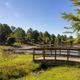 Pond and wooded campground grounds at Asheboro Jellystone Park